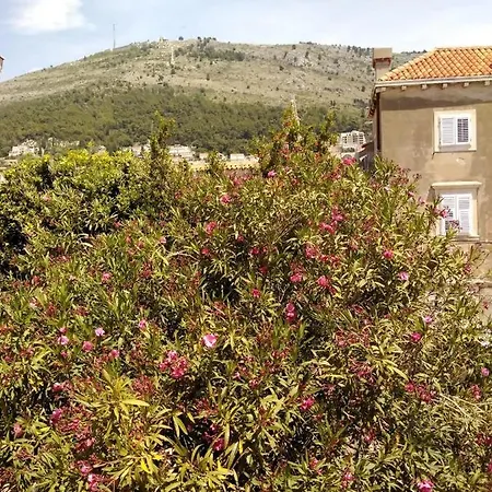 Joy Apartments Old Town Dubrovnik Exterior photo